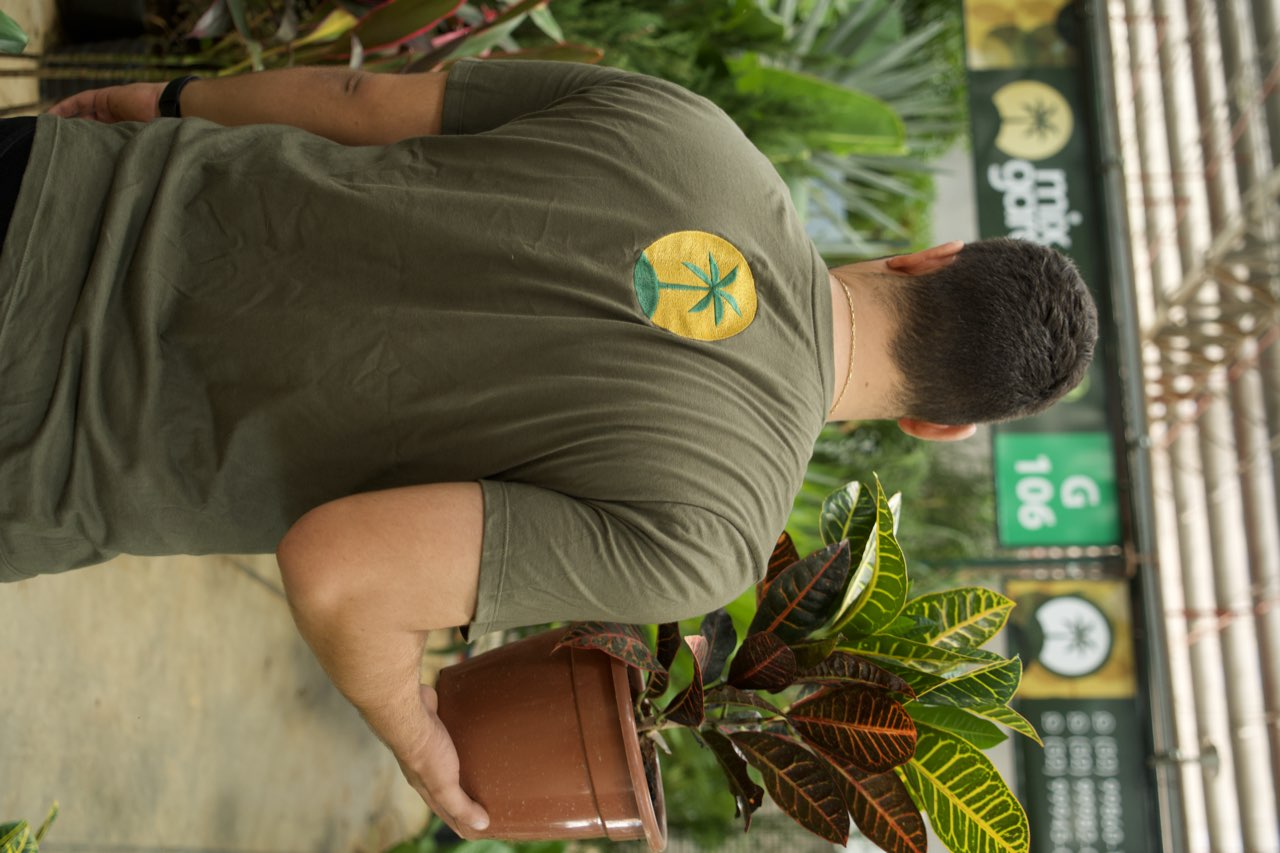 Seleção de plantas no viveiro Mix Garden